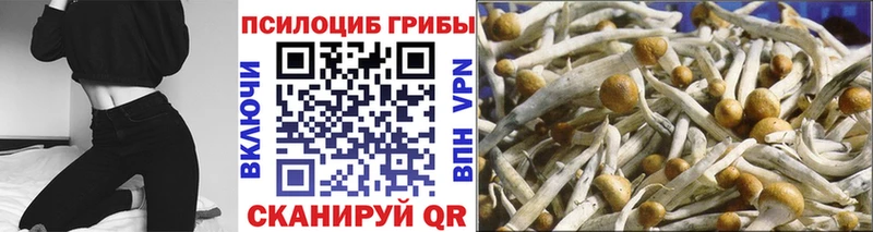 Галлюциногенные грибы Magic Shrooms  OMG как войти  Плавск 