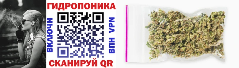 Конопля марихуана купить цена Плавск